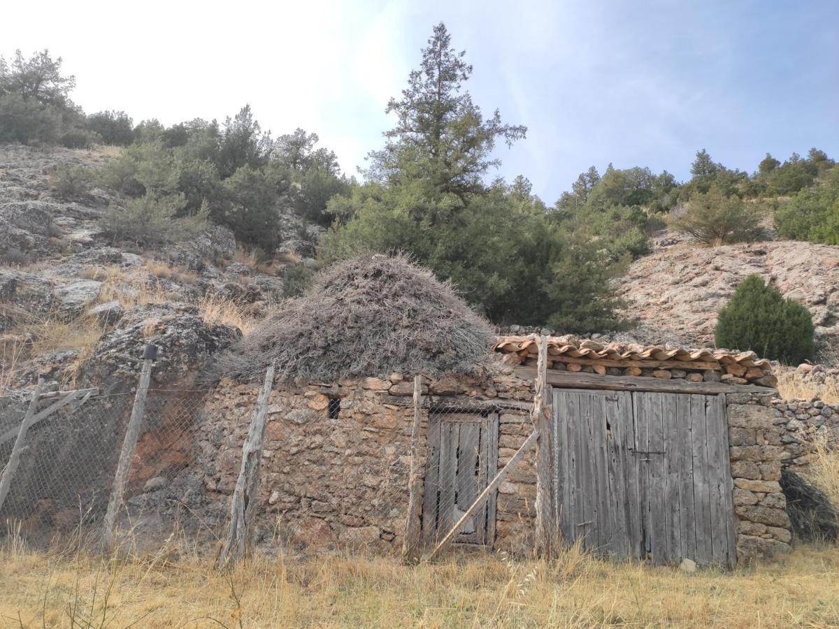 Casa Rural Sierra Del Solorio Iruecha Exteriör bild